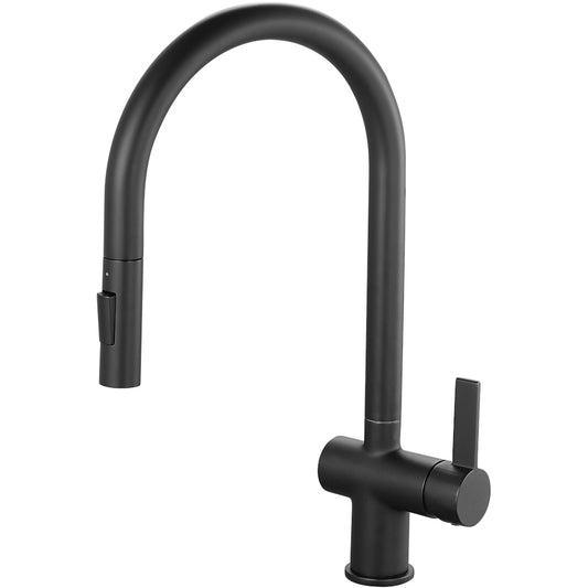 Fairhill Single Lever Pull Out Kitchen Tap - Black